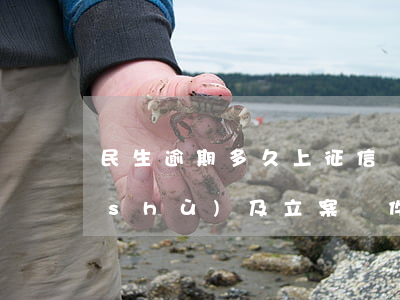 民生逾期多久上征信？具體天數(shù)及立案條件解析